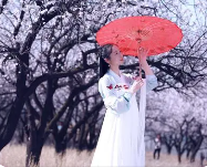 春的旋律之十六：高德军《七律·春相思》‖巴彦诗协诗词联卷【459】（图2）