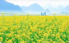 春的旋律之十九：王义《春之声》‖巴彦诗协诗词卷【465】（图5）