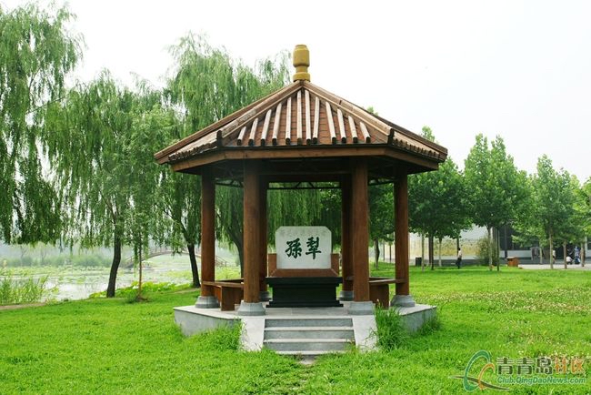 【新诗大观】大家孙犁||文/张道发(图6)