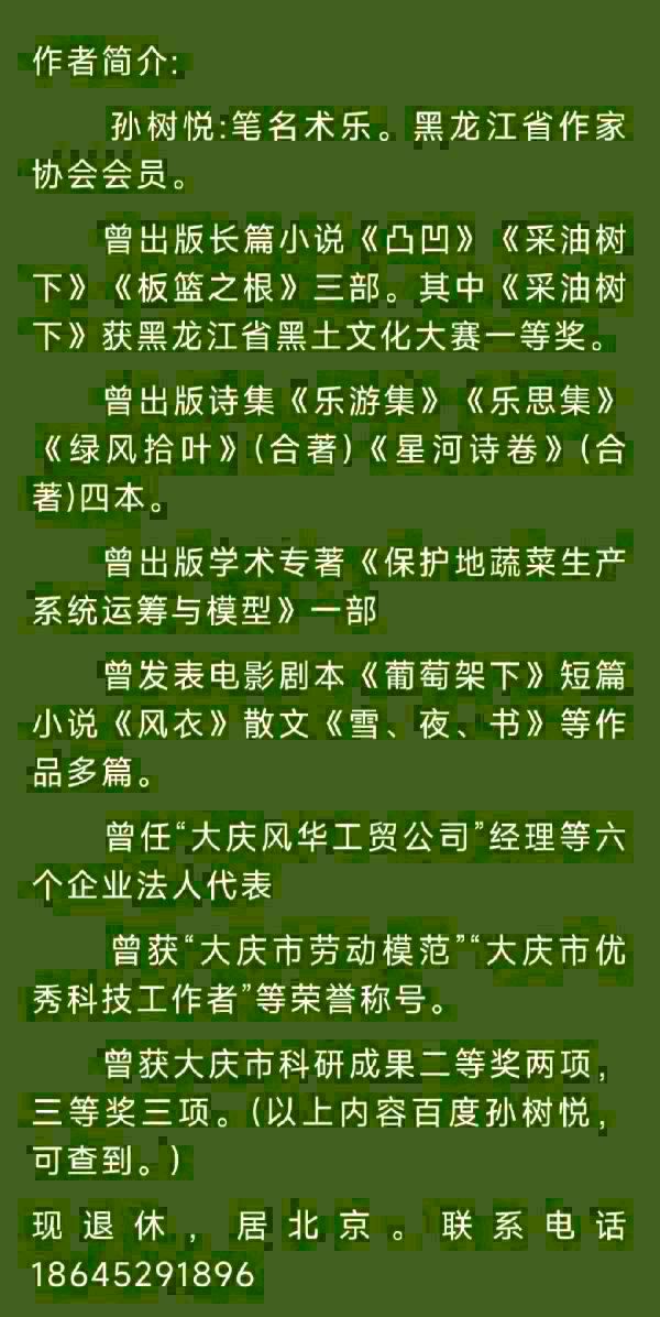中华诗艺黑龙江分社●诗词联微刊(第28期)(图17)