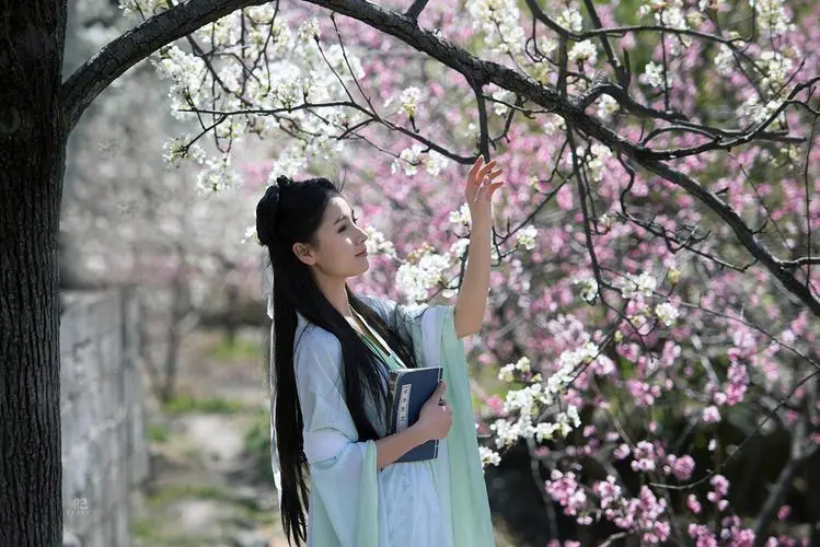 若梅花开/春暖花开 风柔情长