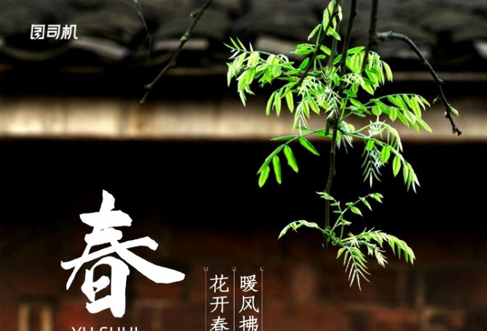 王香谷（悉尼）诗词小编辑【冰心文化传媒】主编 冰心（图3）