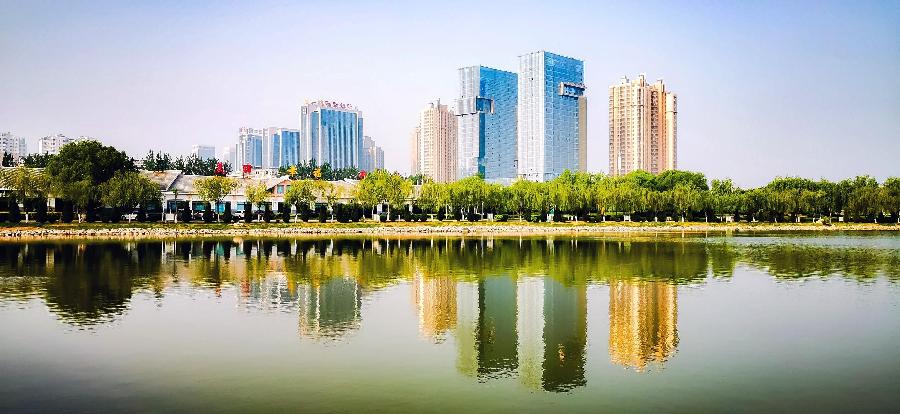 说滨州 文/鲁汉（图3）