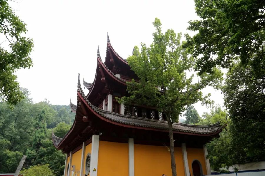 国风上海社千首诗词展春华第二十四期诗刊—北京头条(图271)