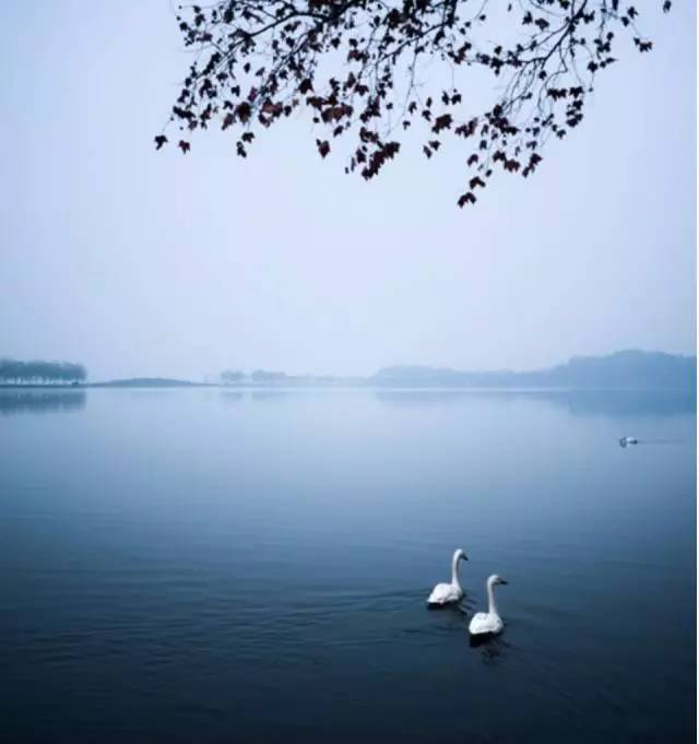 国风上海社千首诗词展春华第二十四期诗刊—北京头条(图245)