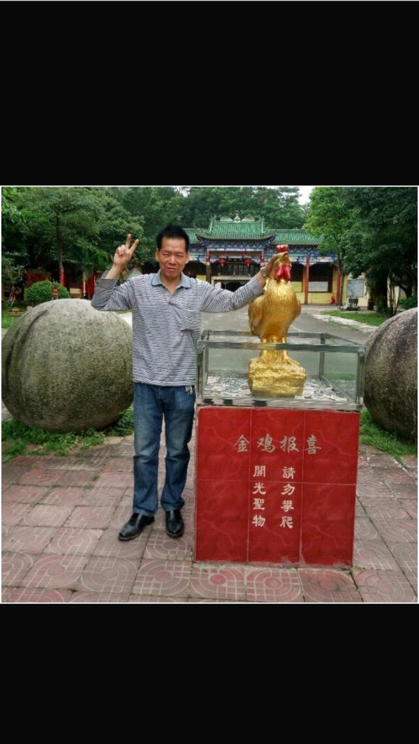 【中国繁荣】文/罗定友（广东）（图3）