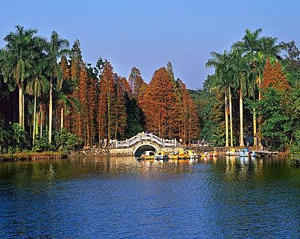 【经典推荐】曾培方//游广州华南植物园（图3）