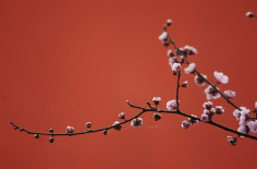 春的旋律之二十四:春分‖巴彦诗协诗词联卷【471】(图6)