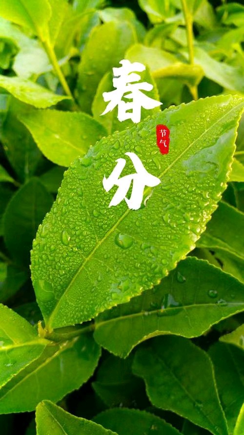中华诗艺黑龙江分社●诗词联微刊(第29期)(图48)