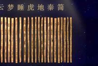 马国涛力作《装饰》（图8）