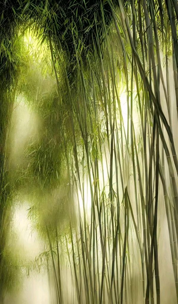 联机全球发布严宗碧作品欣赏（图13）