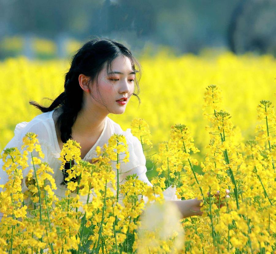 春分组诗 文/严宗碧(图3)