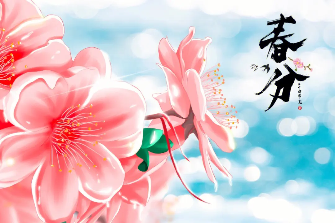 若梅花开/春分:愿你春风得意,带梦飞翔(图2)