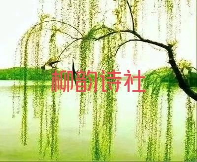 营口诗词学会柳韵诗社《春分》同题诗
