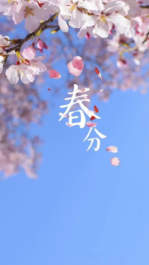 营口诗词学会柳韵诗社《春分》同题诗(图2)