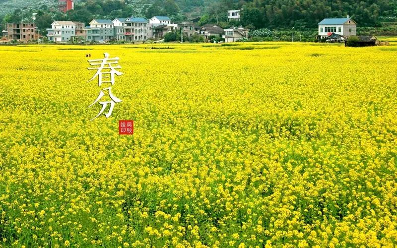 营口诗词学会柳韵诗社《春分》同题诗(图3)