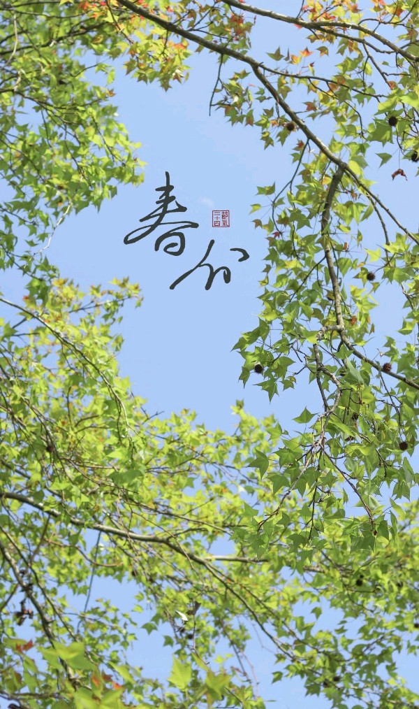 营口诗词学会柳韵诗社《春分》同题诗(图11)