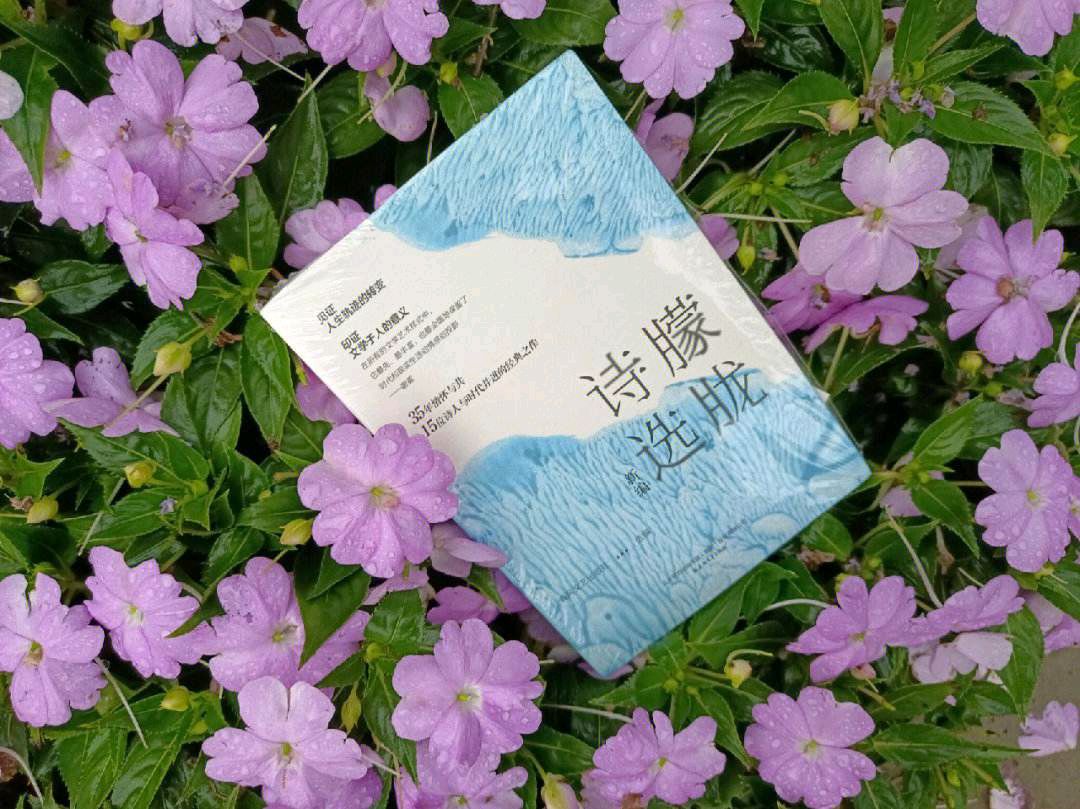 诗歌小辑 作者 纤夫（浙江）【冰心文化传媒】主编冰心（图7）