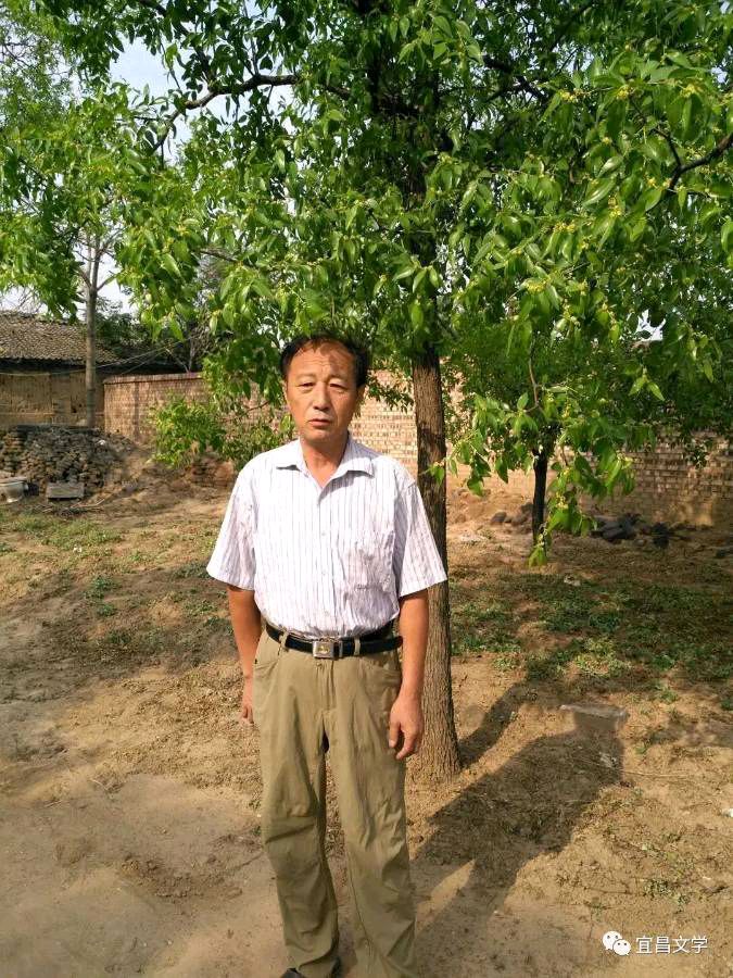 薛有毅（山西榆次）诗词小辑【冰心文化传媒】主编 冰心（图9）