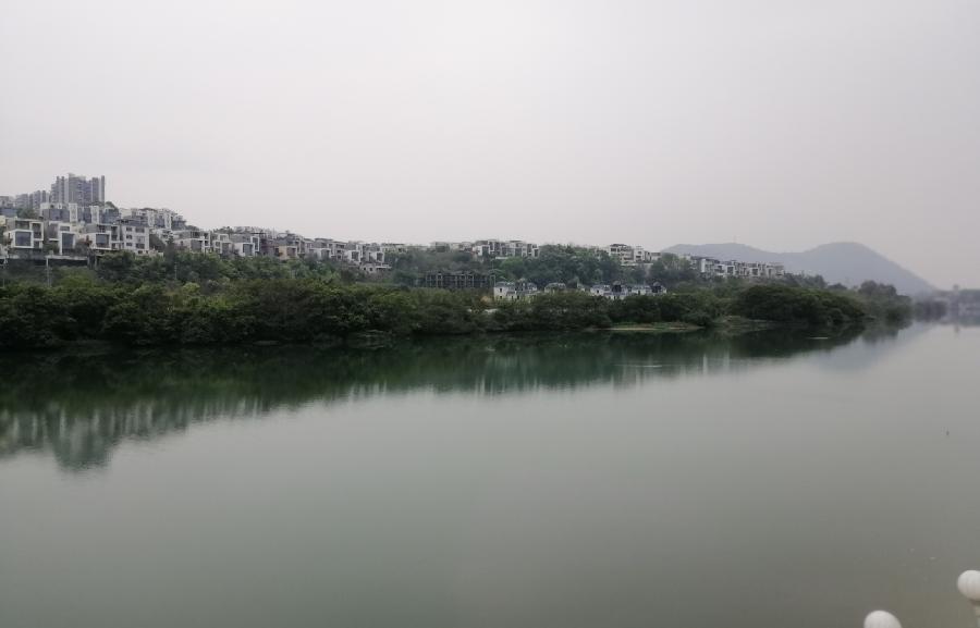 七律 春日解忧（外一首）文／江冲（图2）