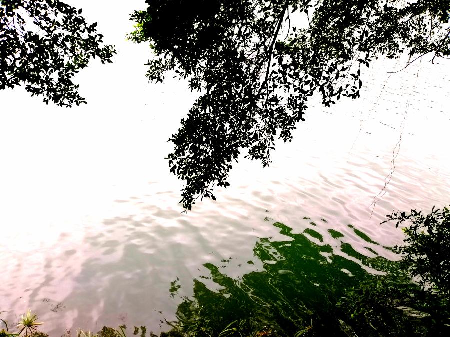 七律 春日解忧（外一首）文／江冲（图3）
