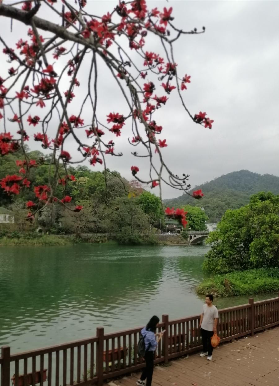 七律 春日解忧（外一首）文／江冲（图4）