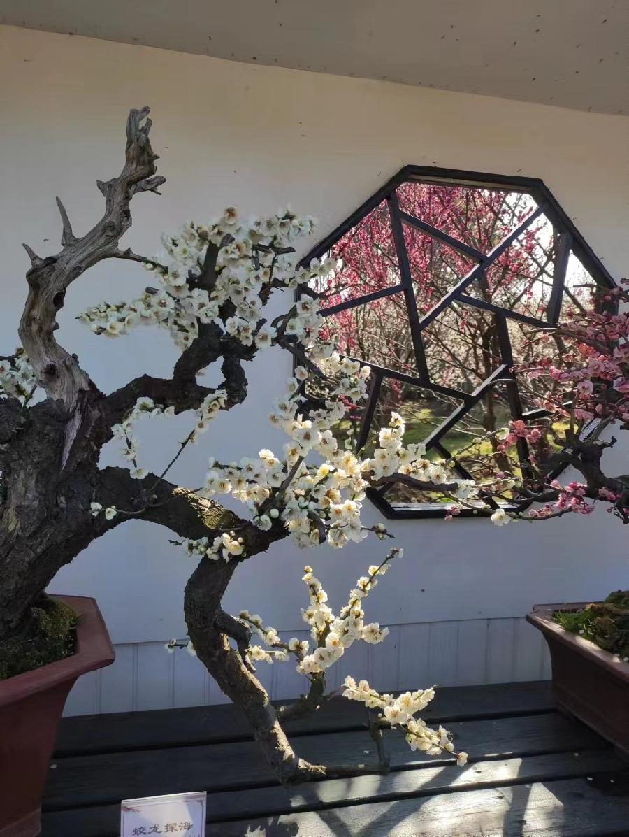 《世界名家》《九江文学社:北京头条》著名艺术家沈志昂先生美文集粹欣赏(图31)