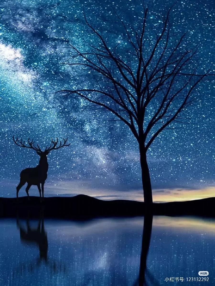 李士光朗诵【仰望星空】作者/郭曰方（图9）
