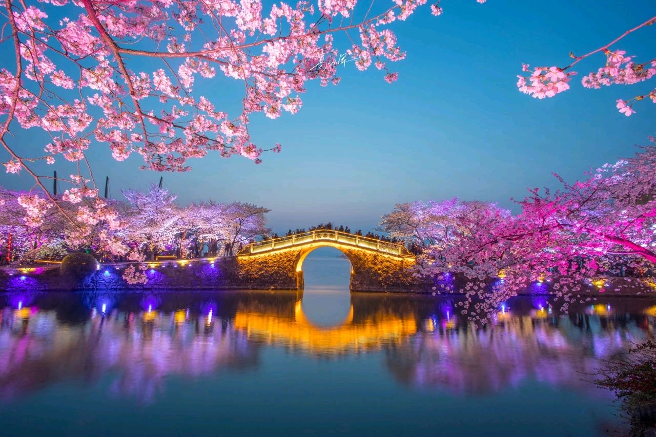 【山水诗社诗】专刊~赵平专辑【云心鹤韵】诗词曲联(一期)出刊(图9)