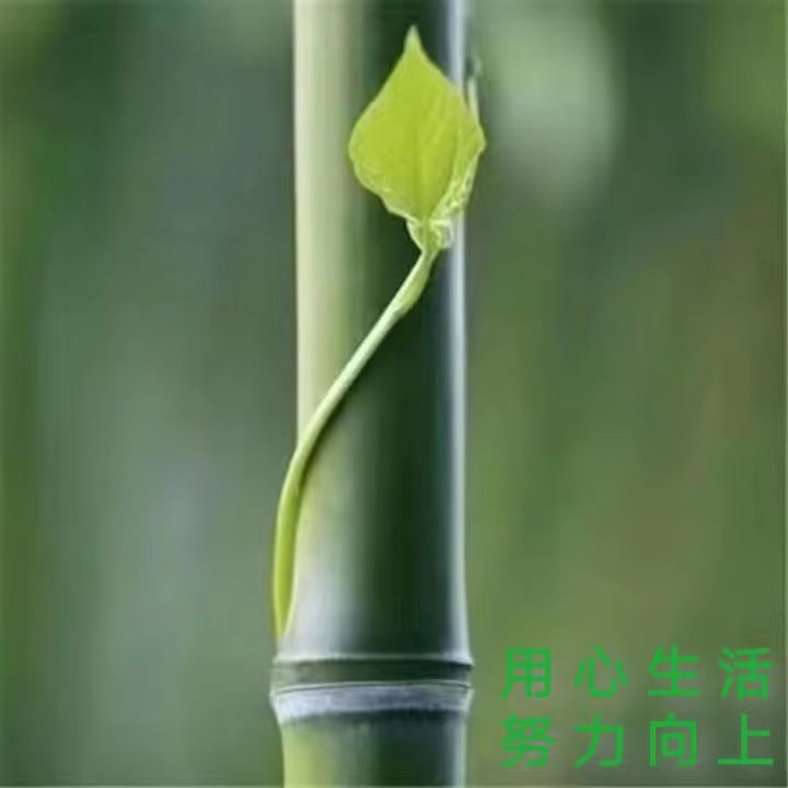 胡向前（湖北）*诗词专辑六*【冰心文化传媒】主编 冰心（图11）