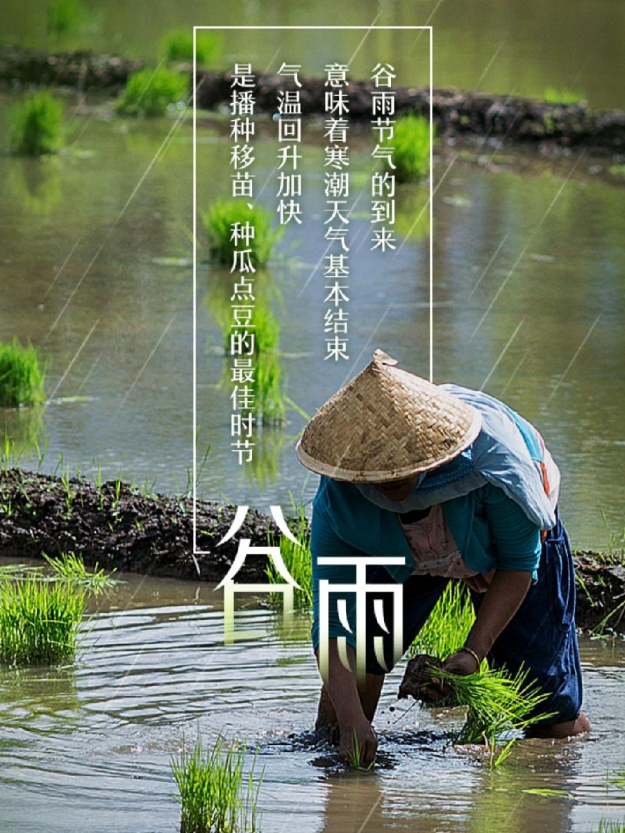 《九江文学社：北京头条》《名家专刊》江东艾草先生佳作欣赏《二十四节气诗——春季六首》（图8）