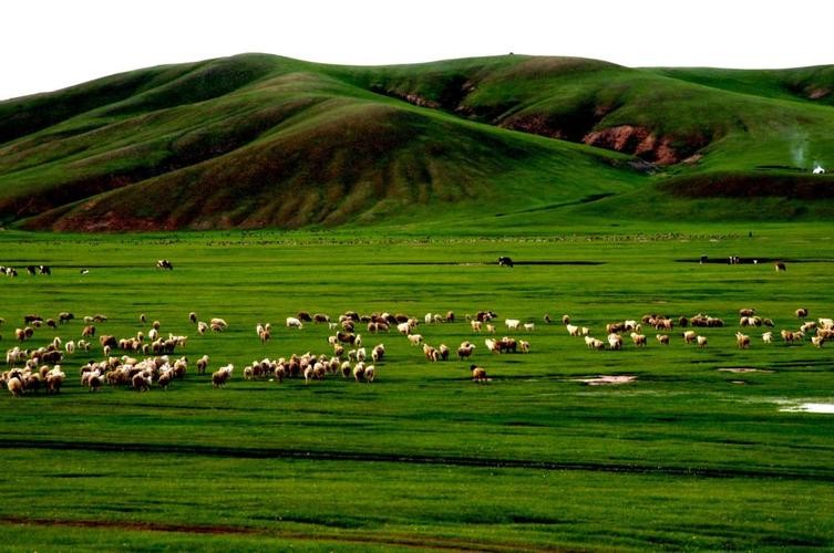 【经典推荐】鲁坡//春来塞北行｛欣赏｝（图5）