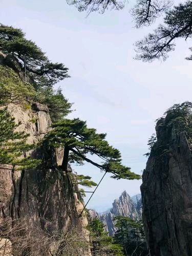 中华诗艺黑龙江分社推介/书乐:中外有别（图8）