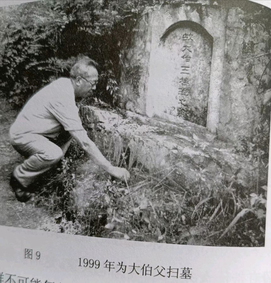 【特刊】《清明节感怀八首》作者//王志毅（北京）（图8）
