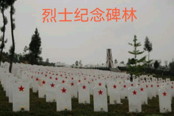 【特刊】《清明节感怀八首》作者//王志毅（北京）（图6）