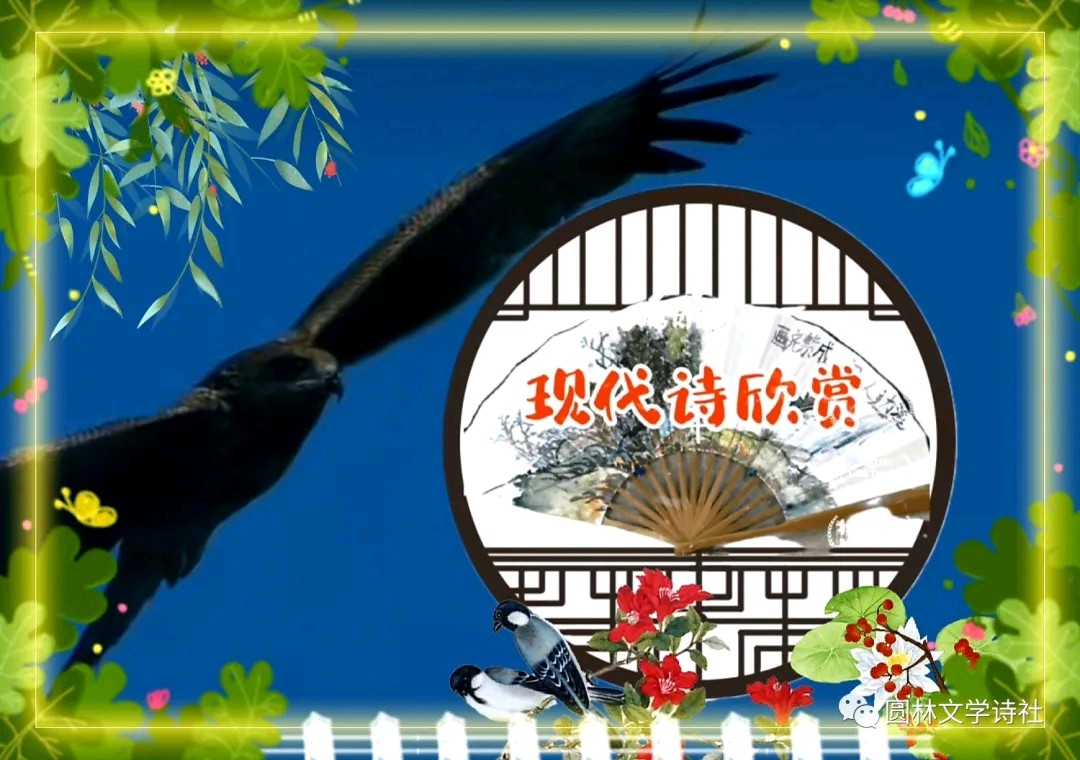 请欣赏实力派诗人:卢进国佳作《春分》主播:高山流水（图9）