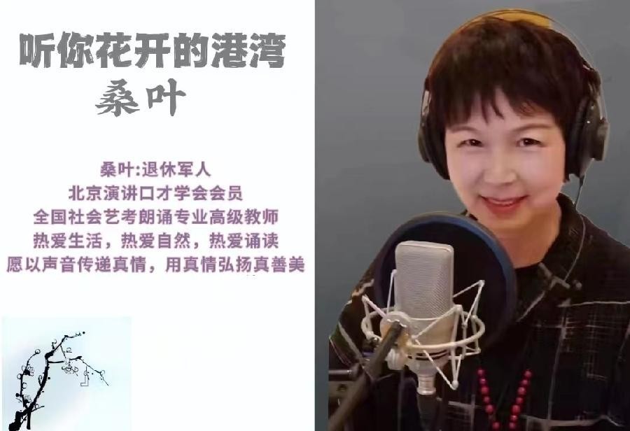 桑叶朗诵【当阅读成为一种习惯】作者/刘伙力（图3）