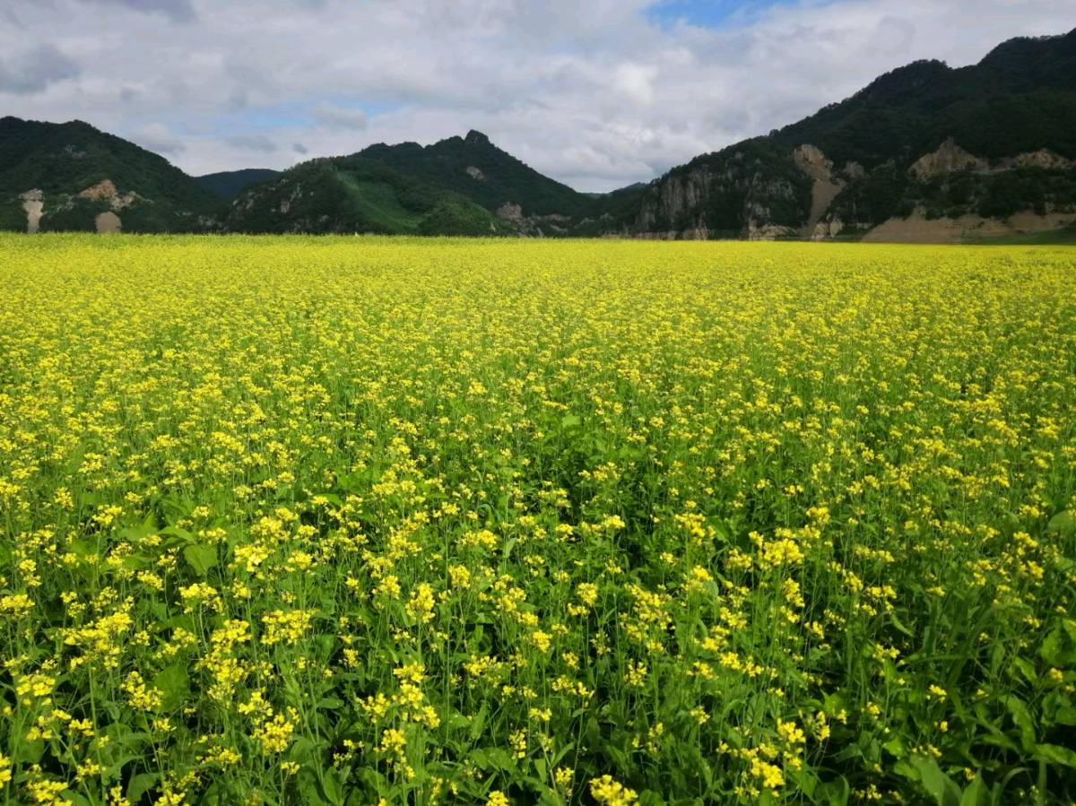 且把生活过成诗(图5)