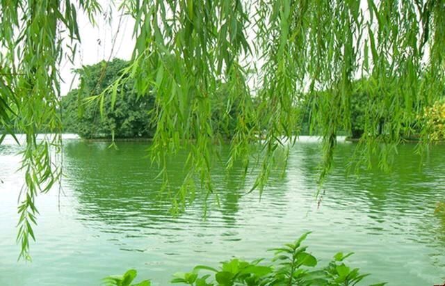 且把生活过成诗(图4)