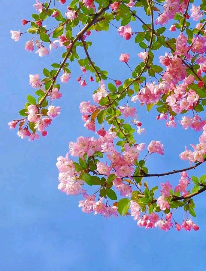 且把生活过成诗(图12)