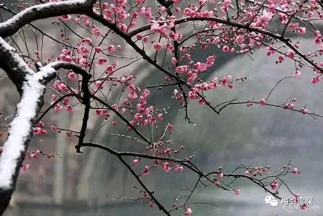 联机全球发布青衫无痕作品欣赏（图15）