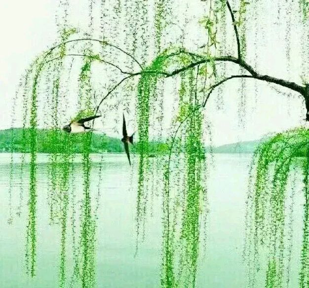 中华诗艺黑龙江分社●诗词联微刊(第33期)（图15）
