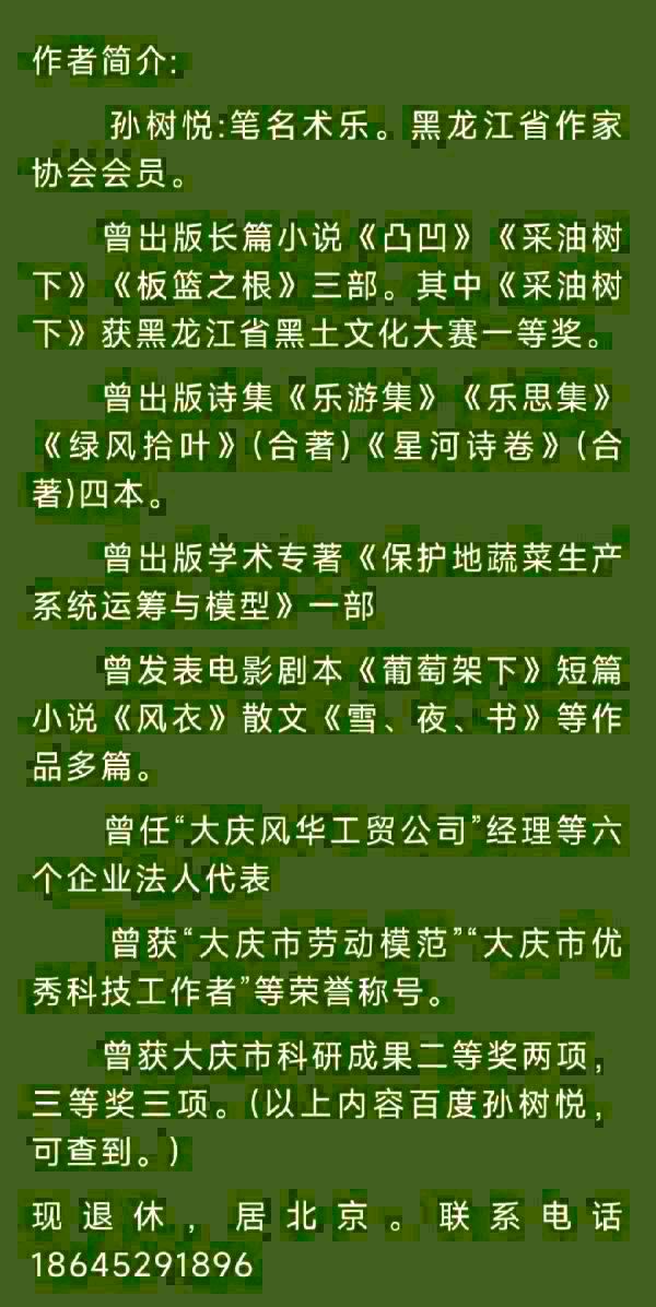 中华诗艺黑龙江分社●诗词联微刊(第33期)（图50）