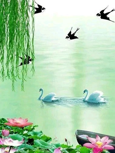 紫燕~文/张祖强（平阴）（图2）