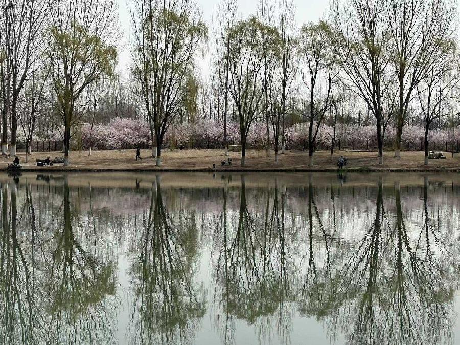 【都市头条向幸福出发编辑部】第4122期 《瓦翁赋》作者:闻章 主播 一姐(图2)