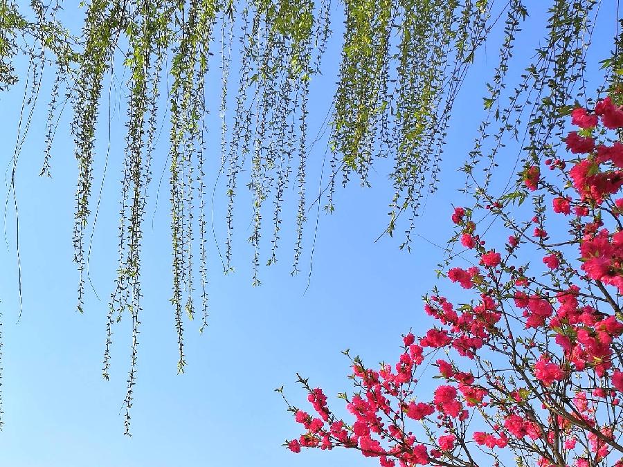 【新诗大观】写给时光的诗(诗二十九首)||文/时空(图15)