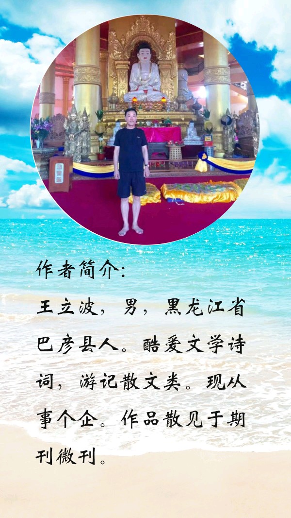 中华诗艺黑龙江分社推介/王立波:美丽的西双板纳(图10)