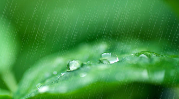 【中国长江文学社】有声文学平台名家名诵《春雨》作者叶子/诵读往事随风/制作宋梅【第5429期】（图4）