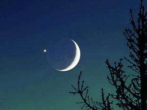 【新诗大观】月掩金星有感（诗五首）||文/李志亮||诵/文嘉