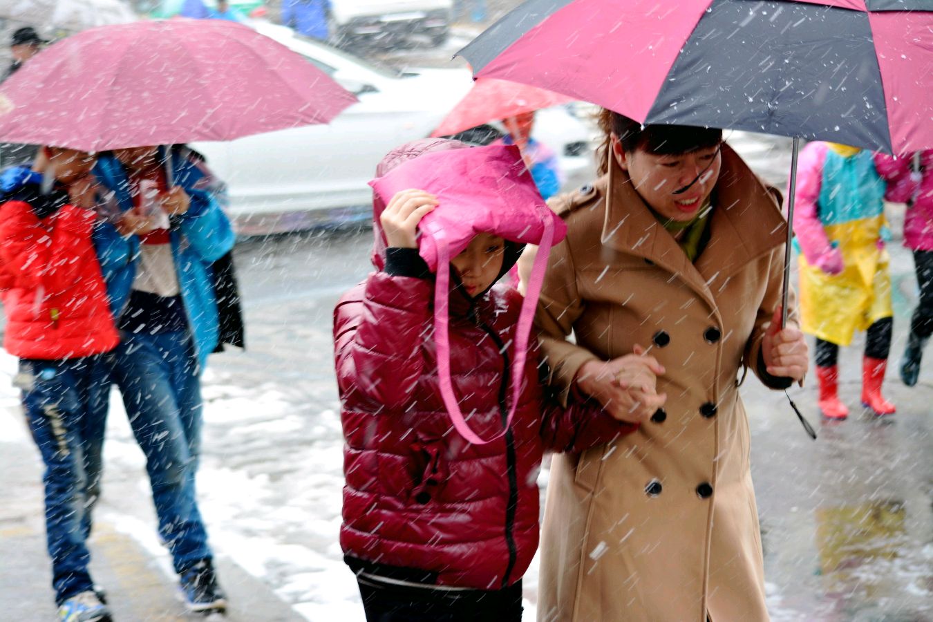 【美文美诵】文/邢志坚《春如四季》诵读/冬日艳阳 编辑/青青【花雨馨声】有声文学平台【第284期】（图4）